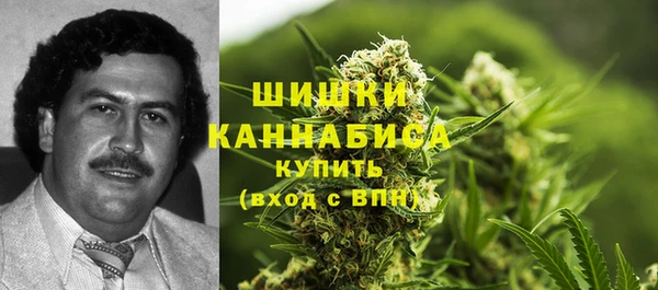 mix Белокуриха