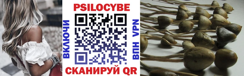 цены   Великий Устюг  Галлюциногенные грибы GOLDEN TEACHER 